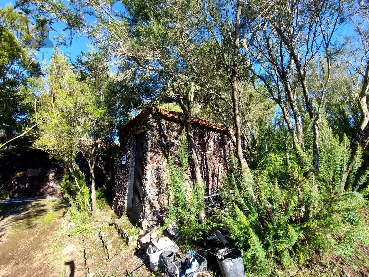 Casa rustica in vendita a El Tanque, imagen 7