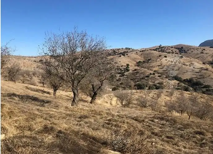 Terrain rustique à vendre à Huércal-Overa