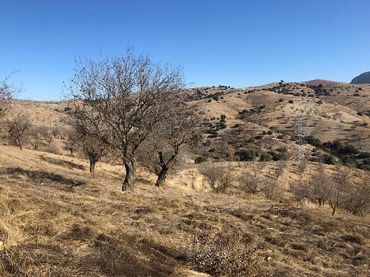 Terrain rustique à vendre à Huércal-Overa