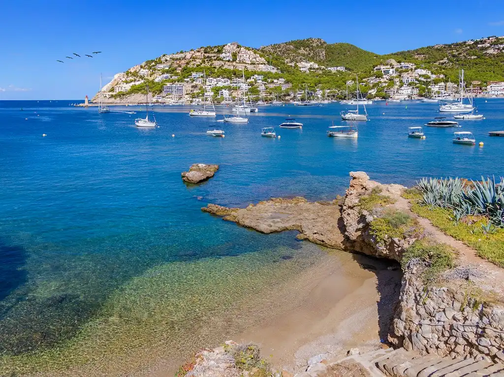Casa rústica con piscina en venta en Port d'Andratx, imagen 25