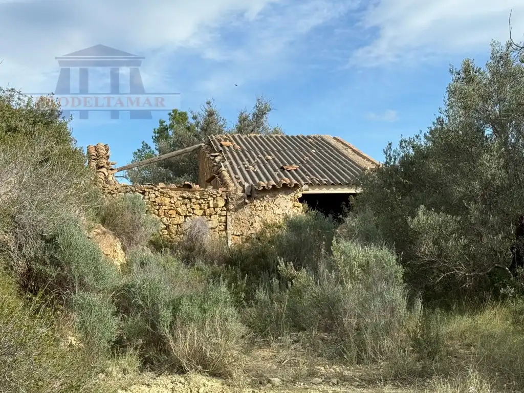 Country house for sale in Poligono 82 Paraje 6 Camp-Redo, imagen 16