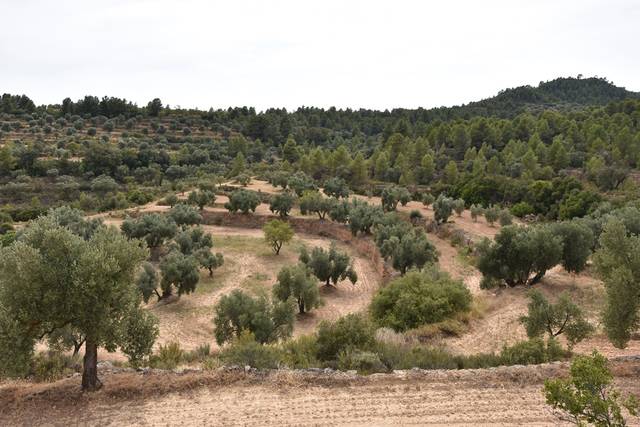 Terreno en Venta en La Fresneda