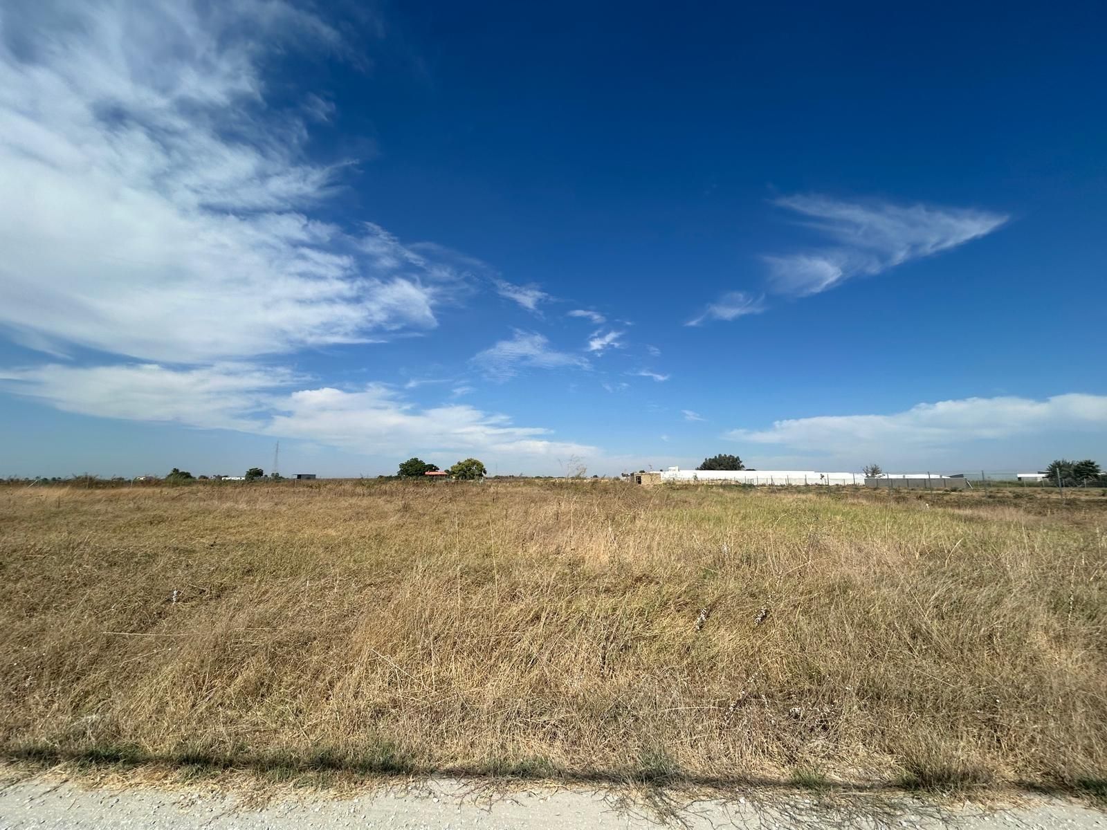 Land for sale in Los Palacios y Villafranca