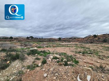 Terrenos y solares en venta en Novelda