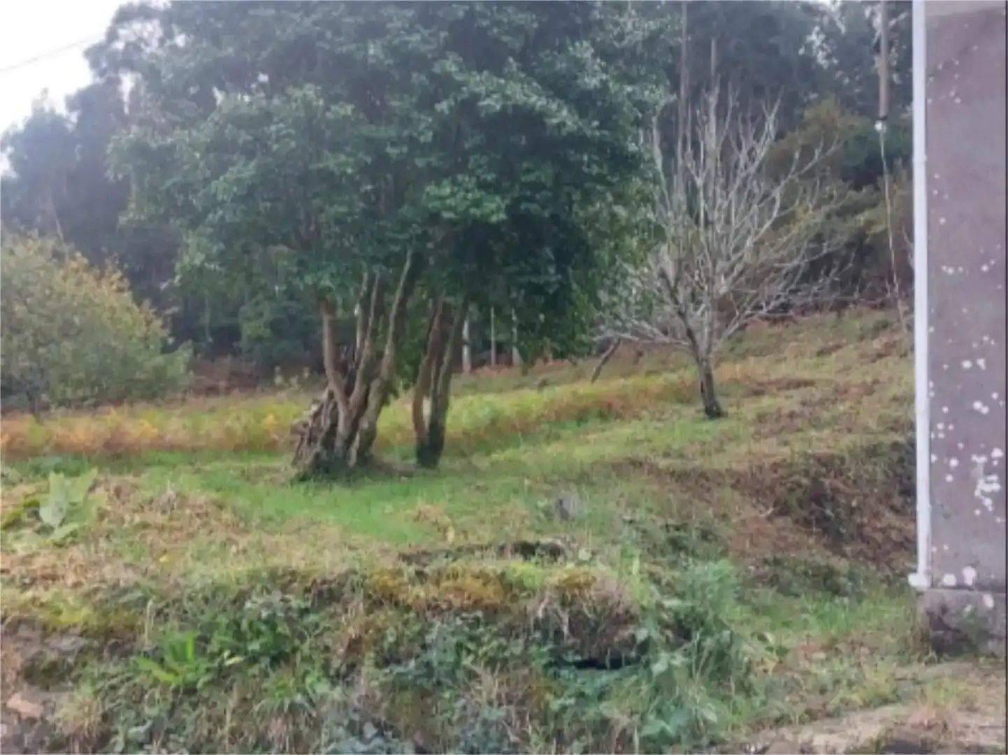 Casa o xalet en venda en Cariño