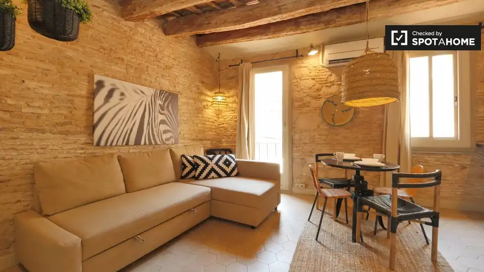 Appartamento con terrazza in affitto a Ciutat Vella