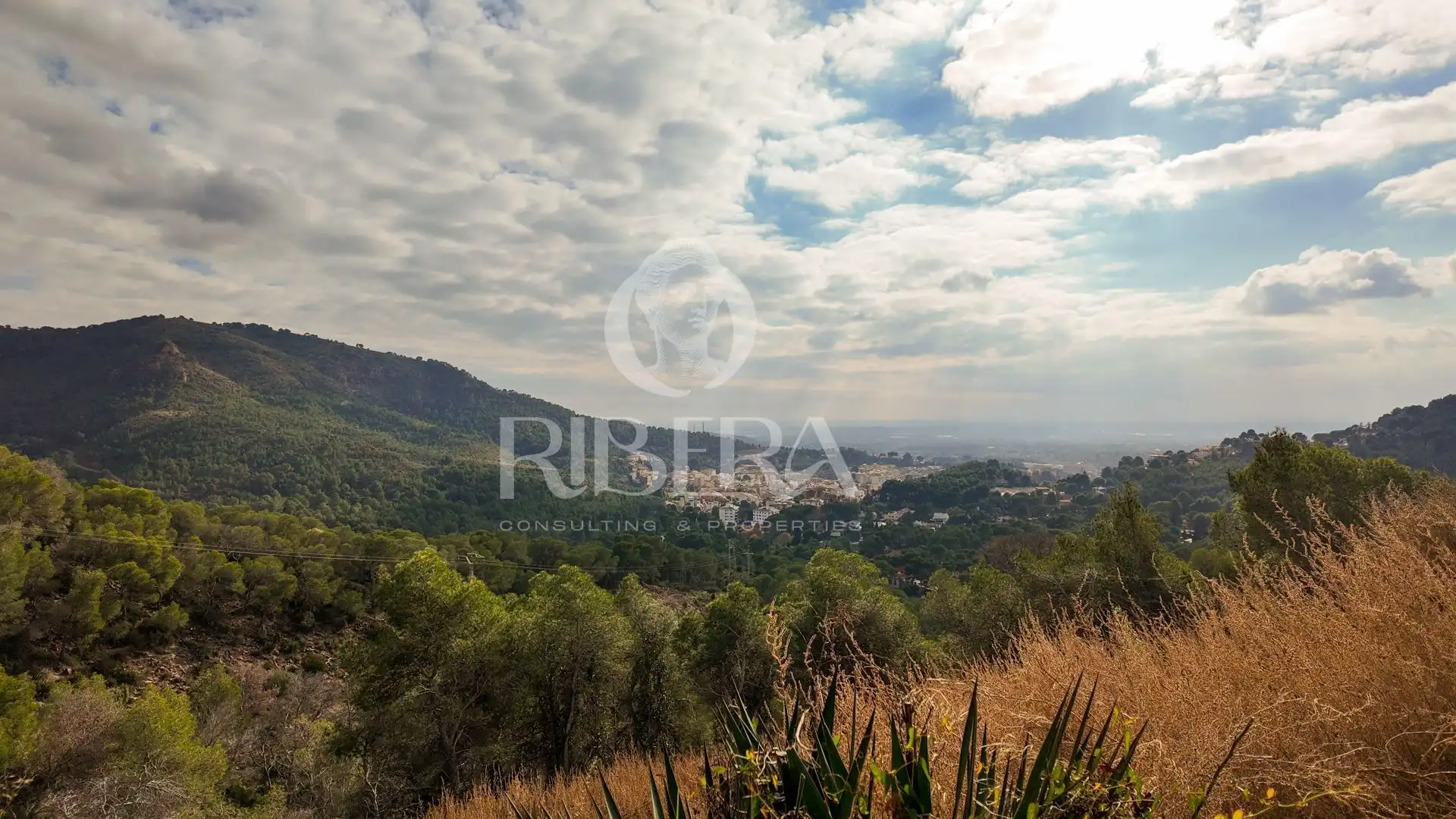 Lands and plots for sale in Urbanización Monteamor, imagen 21
