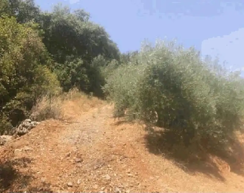 Terrenys i solars en venda a Fuensanta de Martos, imagen 5