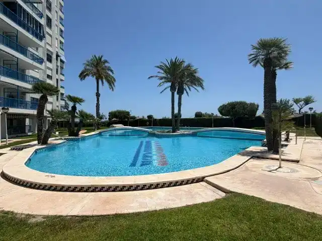 Swimming pool of Flat for rent in El Campello  with Swimming Pool and Balcony