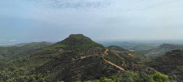 Terreno en Venta en Urbanizacion el Roden, 328 en Segart