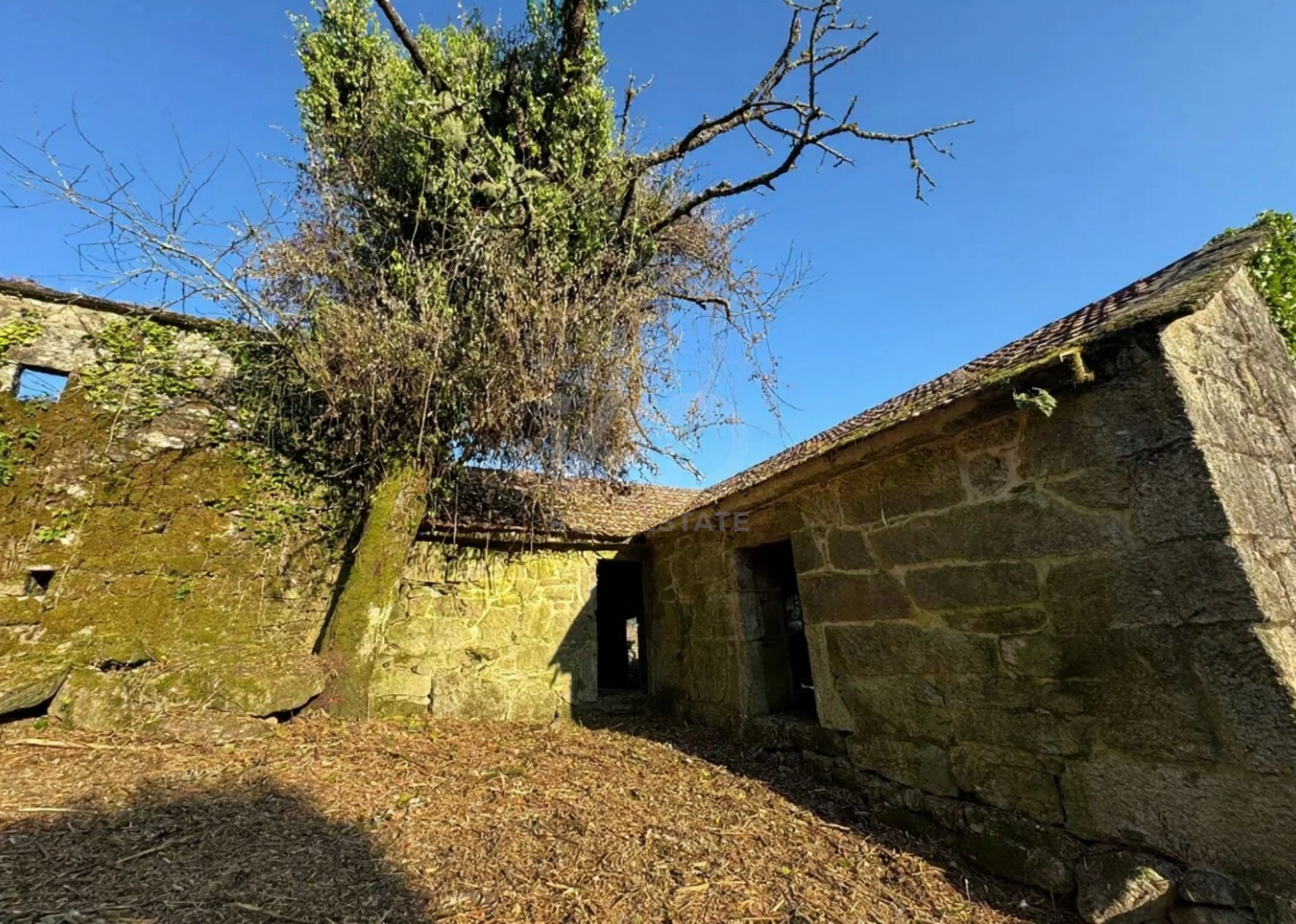 Vista exterior de Finca rústica en venta en Covelo