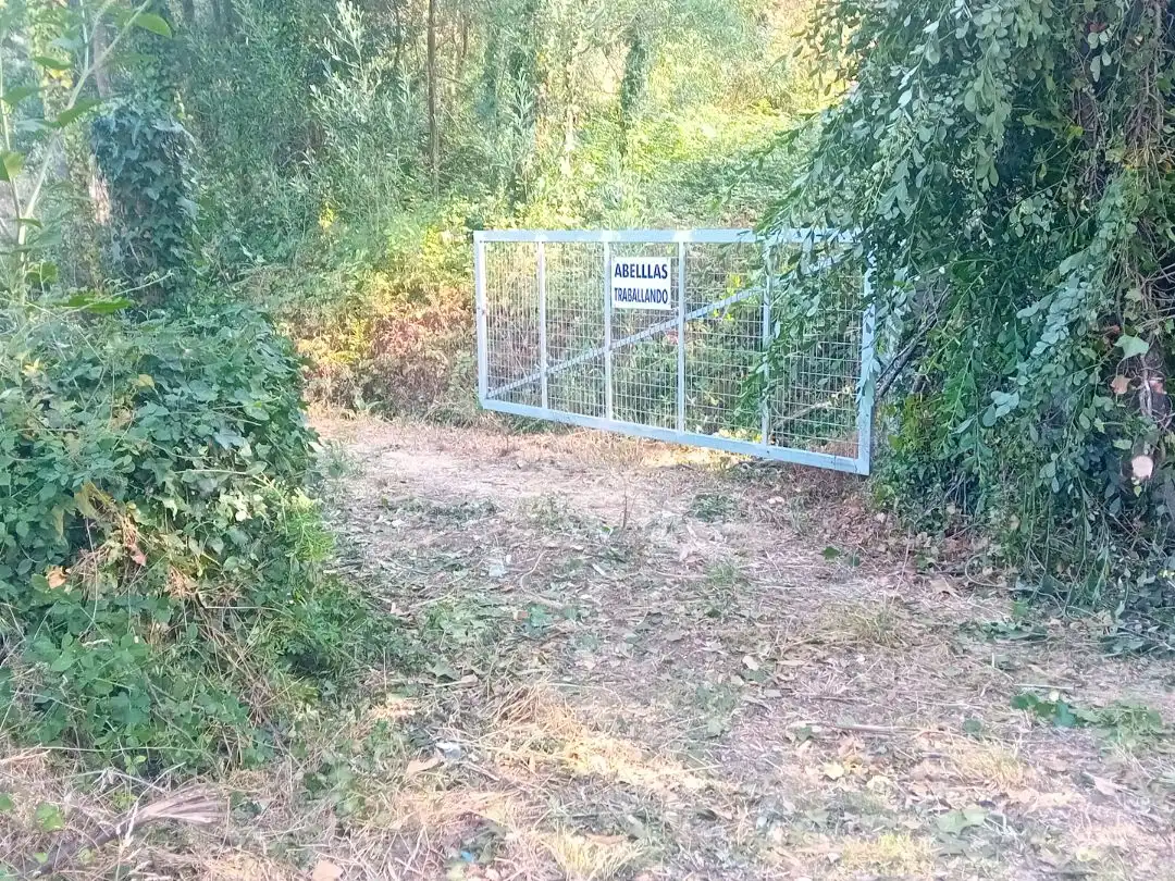 Terrain rustique à vendre à Carretera Portal-Valadares 151, imagen 10