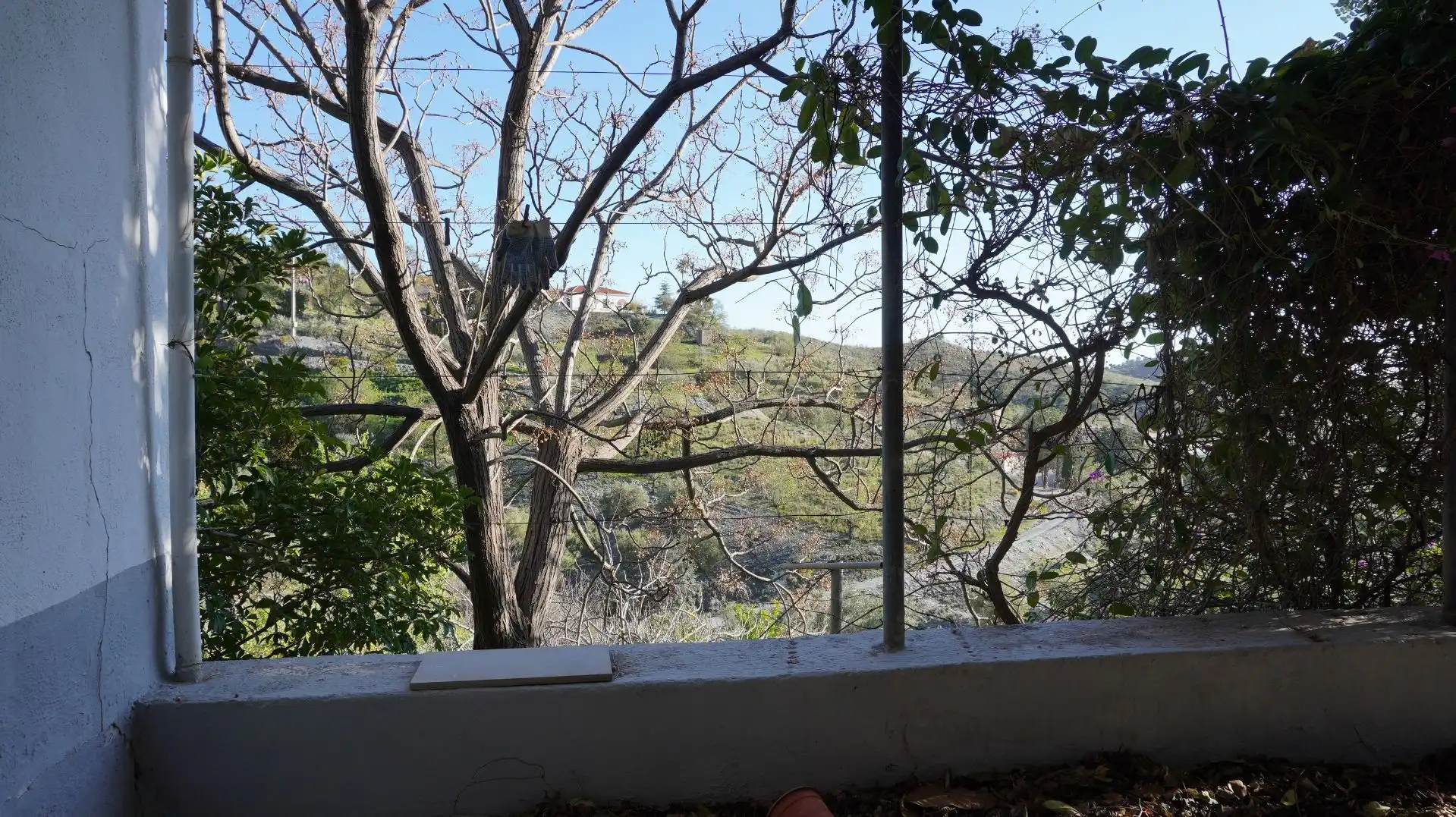 Casa rústica en venda a Pago Administrador, imagen 32