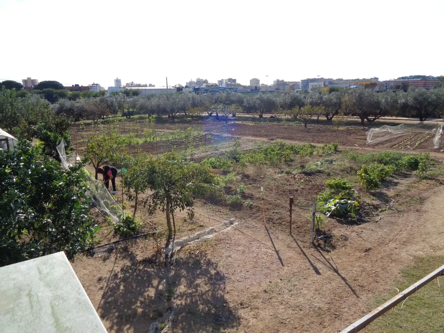 Land for sale in Calonge i Sant Antoni