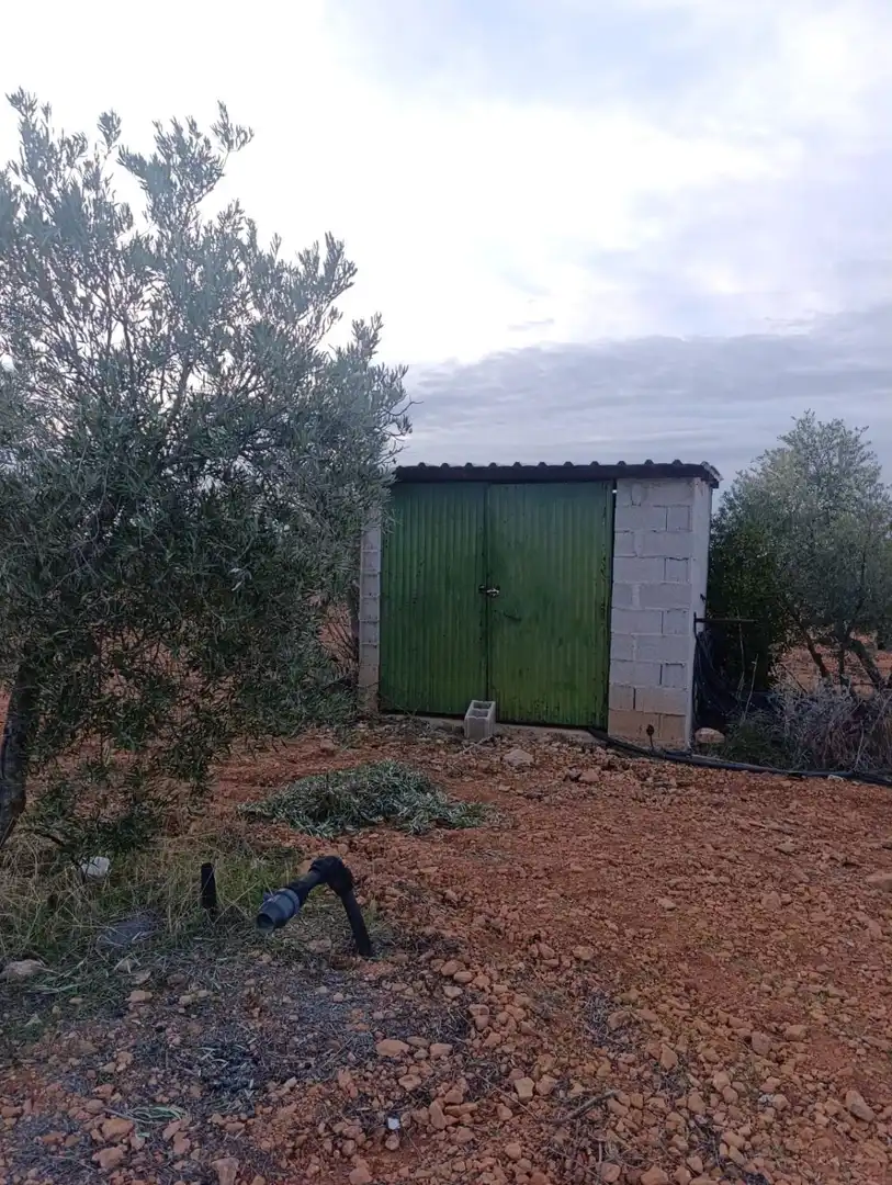 Casa rústica en venda a Valdepeñas, imagen 16