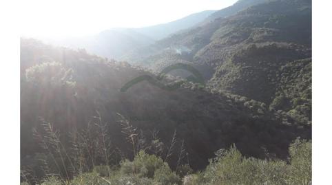 Foto 5 de Casa o chalet en venta en Yunquera, Málaga