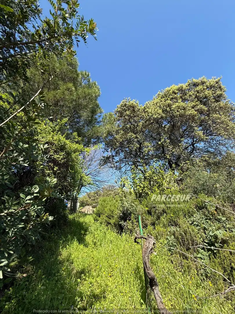 Vista exterior de Finca rústica en venda en Córdoba amb Jardí privat i Traster