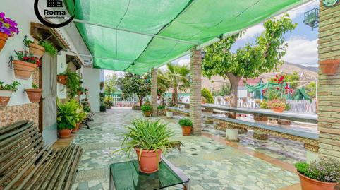 Foto 2 de Finca rústica en venda a  Pago del Ramal del Rey, Pinos Puente, Granada