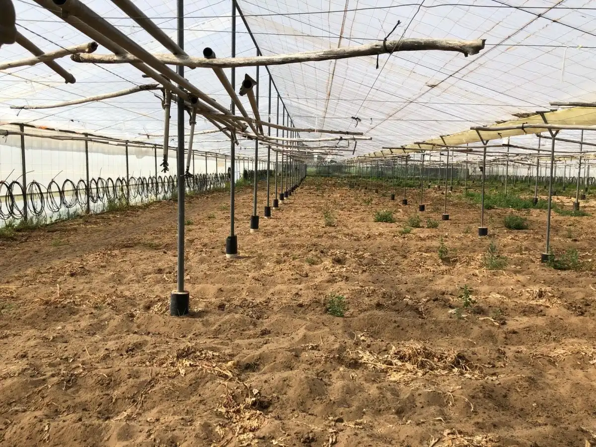 Terreni e lotti in vendita a Barbate ciudad, imagen 43