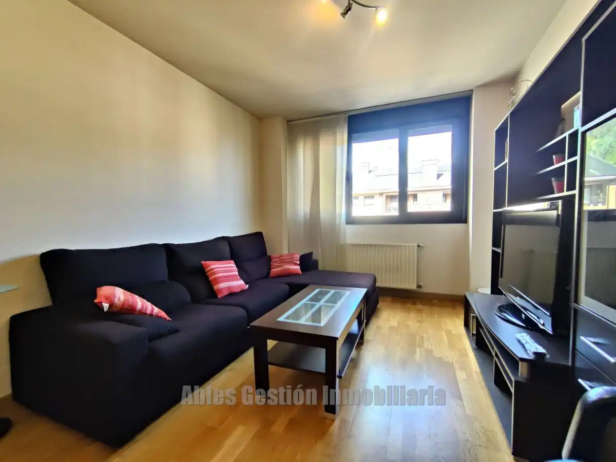 Sala de estar de Piso de alquiler en Oviedo  con Calefacción y Terraza