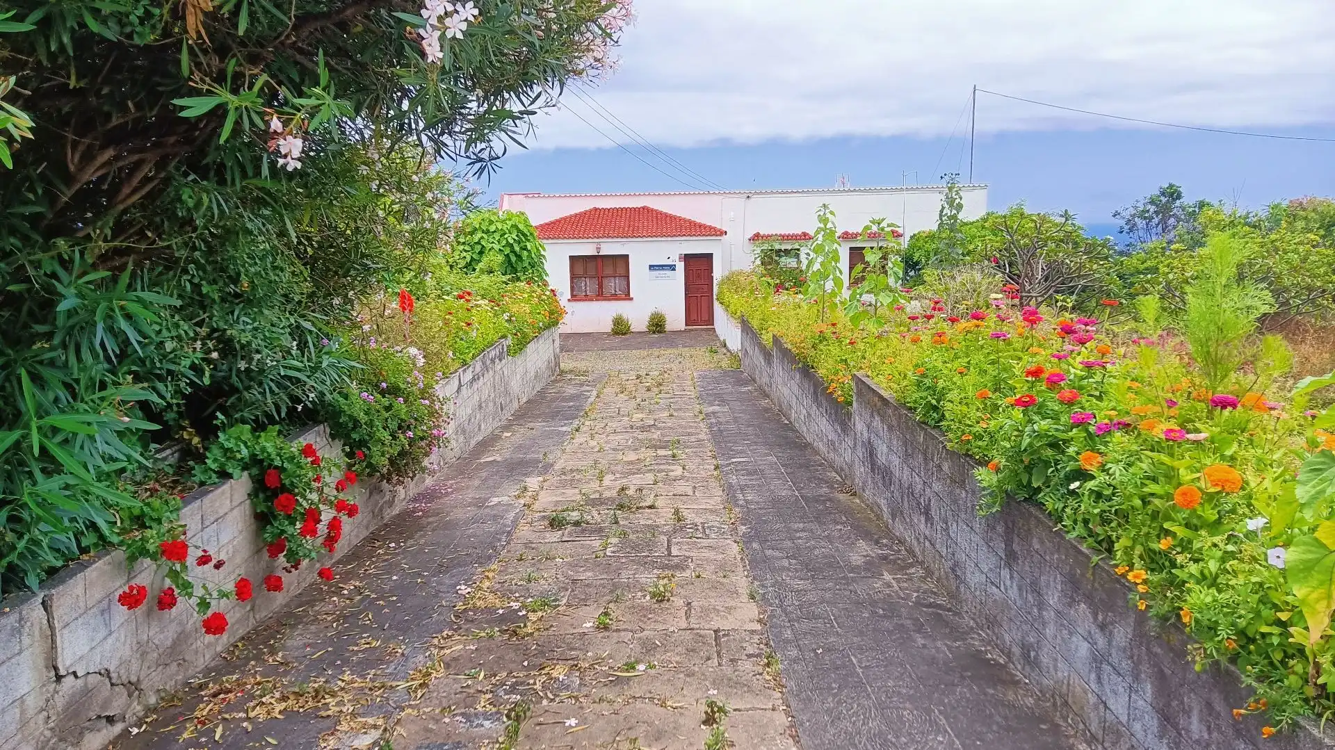 Exterior view of Houses for sale in Breña Baja