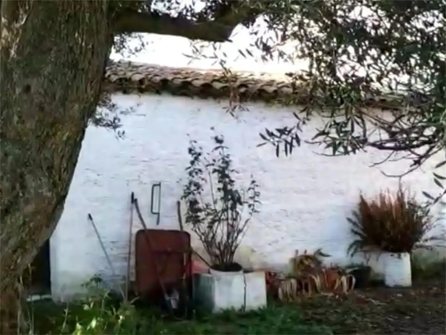 Jardí de Casa adosada en venda en Torrejoncillo amb Jardí privat