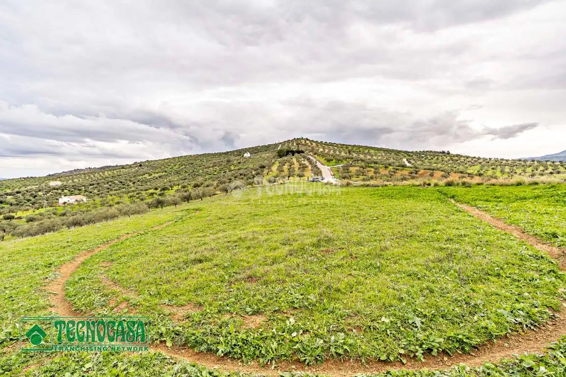 Rural land for sale in Alozaina, imagen 15