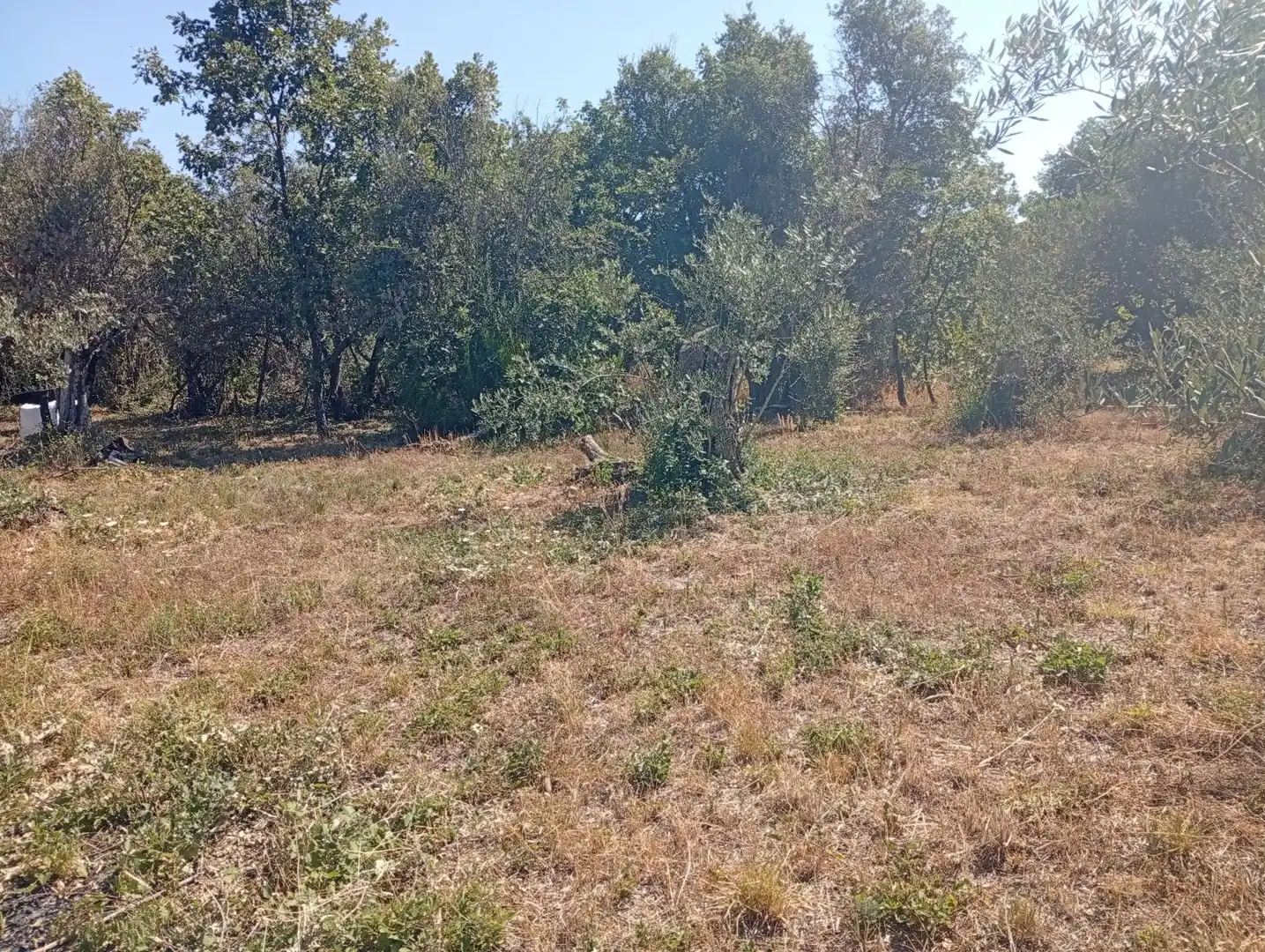 Terreni e lotti in vendita a Villanueva de la Vera, imagen 27