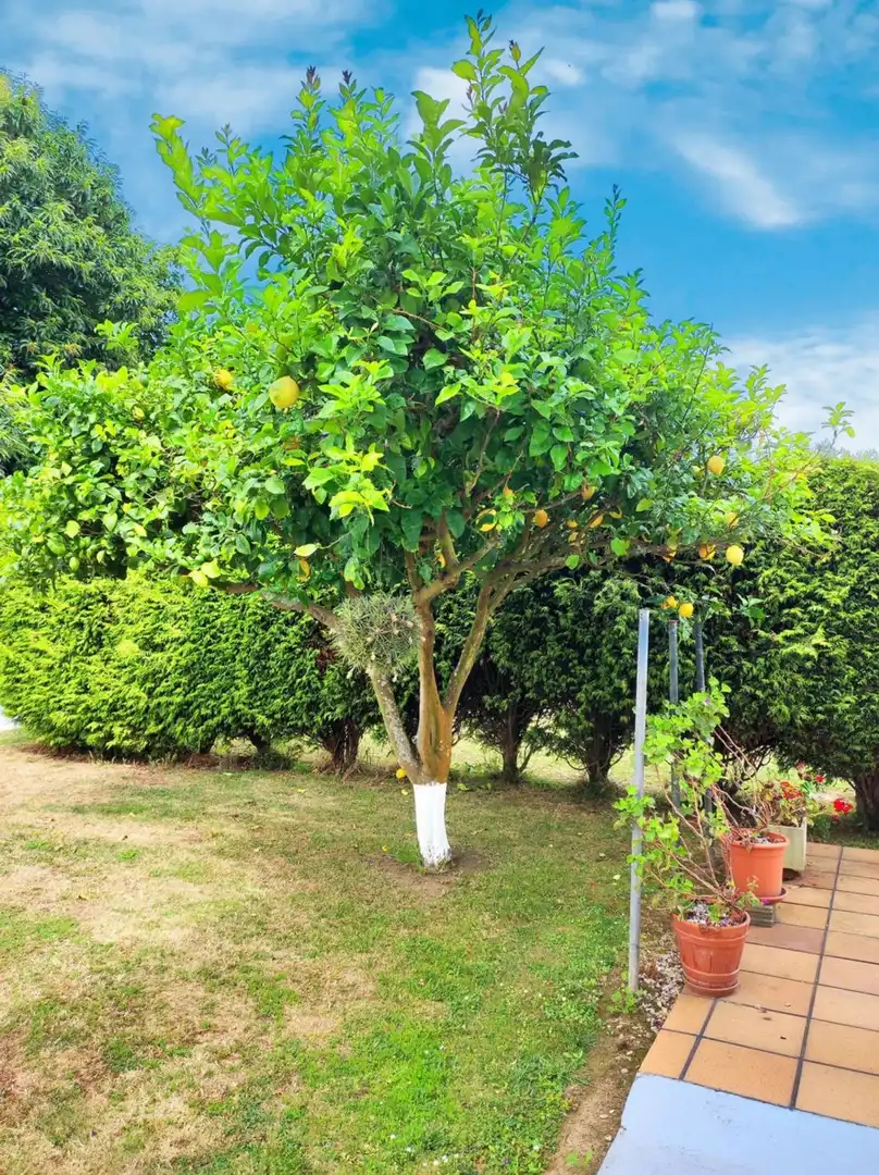 Xalet amb jardí en venda a Lugar Piñeiro, imagen 75