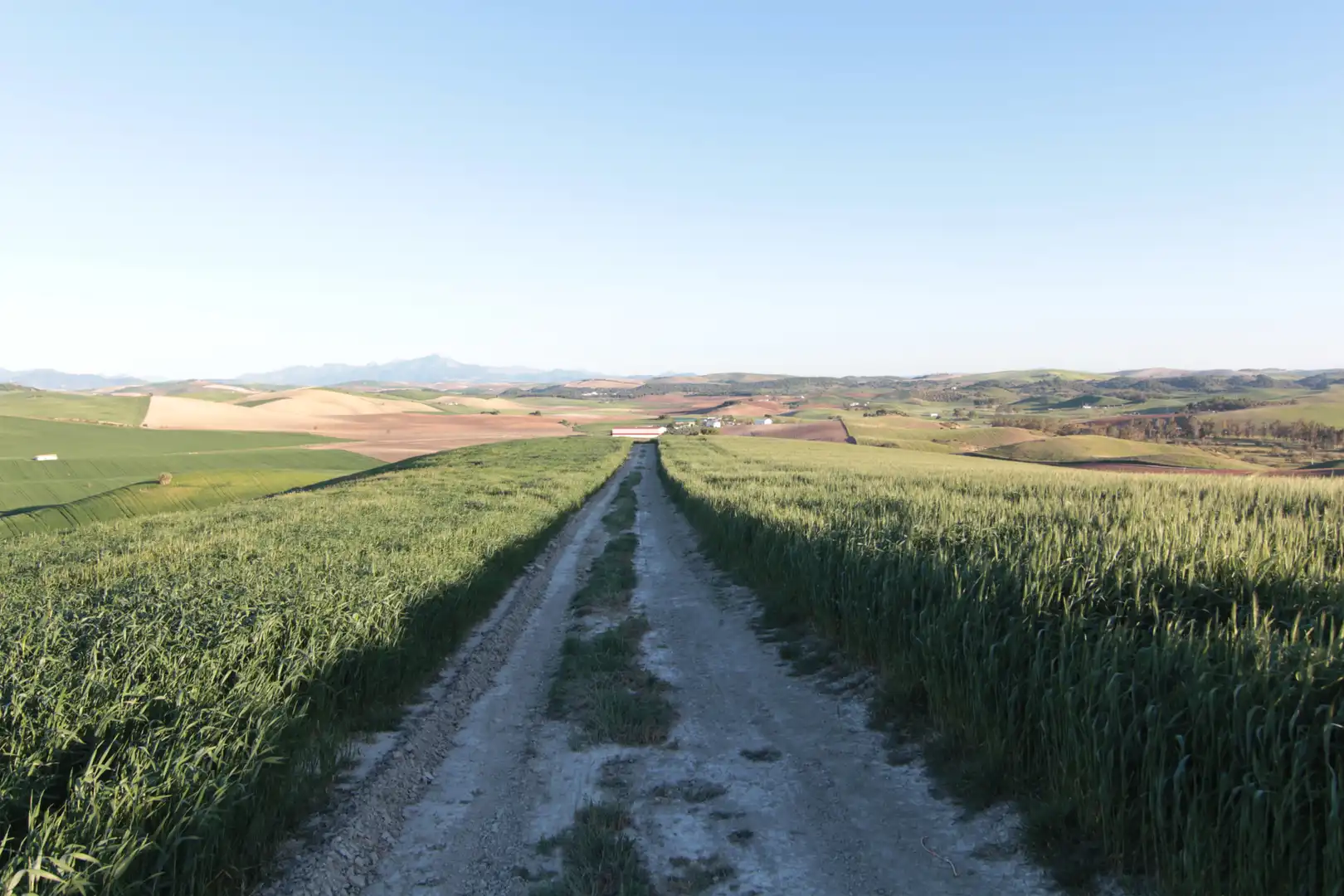 Vista exterior de Terreno en venta en Utrera