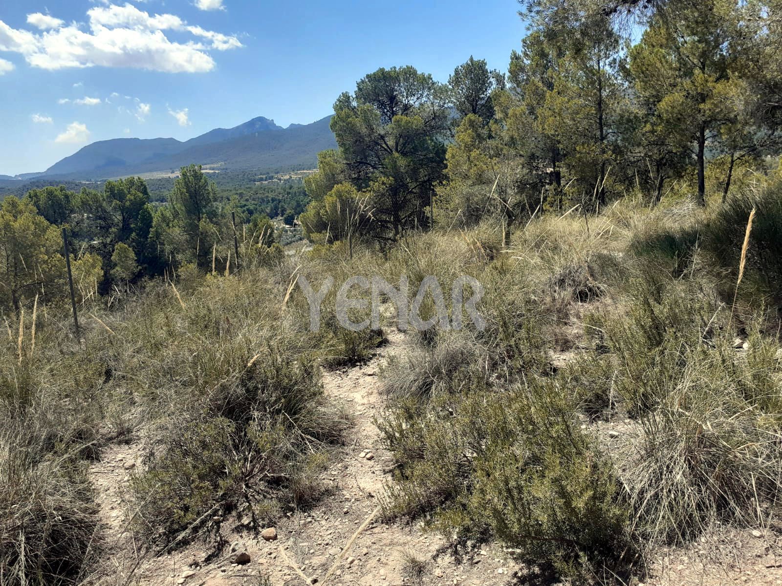 Land for sale in Castalla