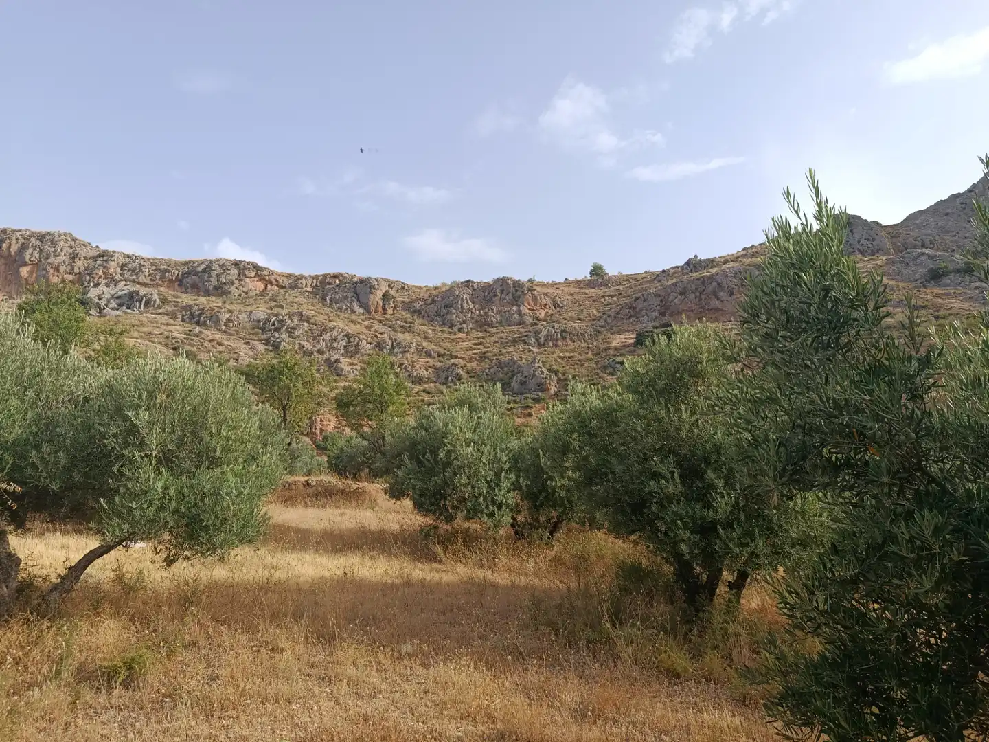 Terreni e lotti in vendita a Cogollos de la Vega, imagen 4