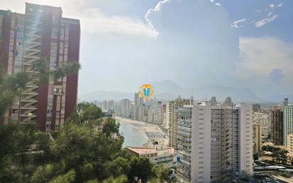 Vista exterior de Apartament en venda en Benidorm amb Aire condicionat, Calefacció i Traster