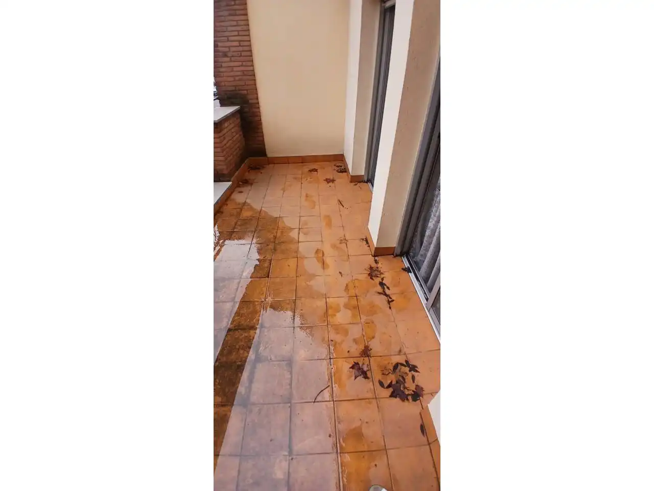 Houses for sale in Avenida Abad Marcet, Zona Esportiva