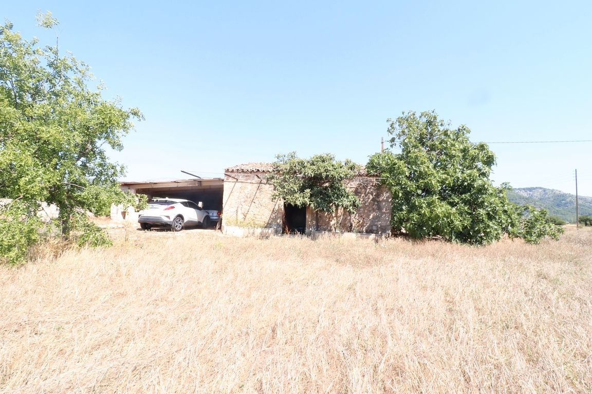 Land for sale in Sa Pobla