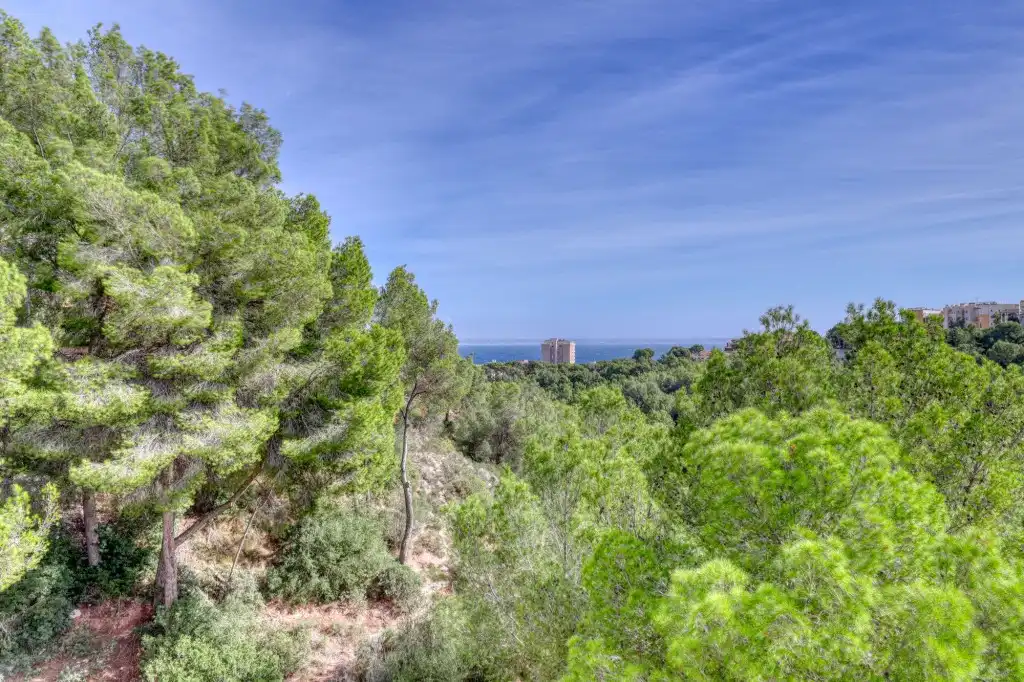 Dachboden zum Verkauf in Cas Català - Illetes