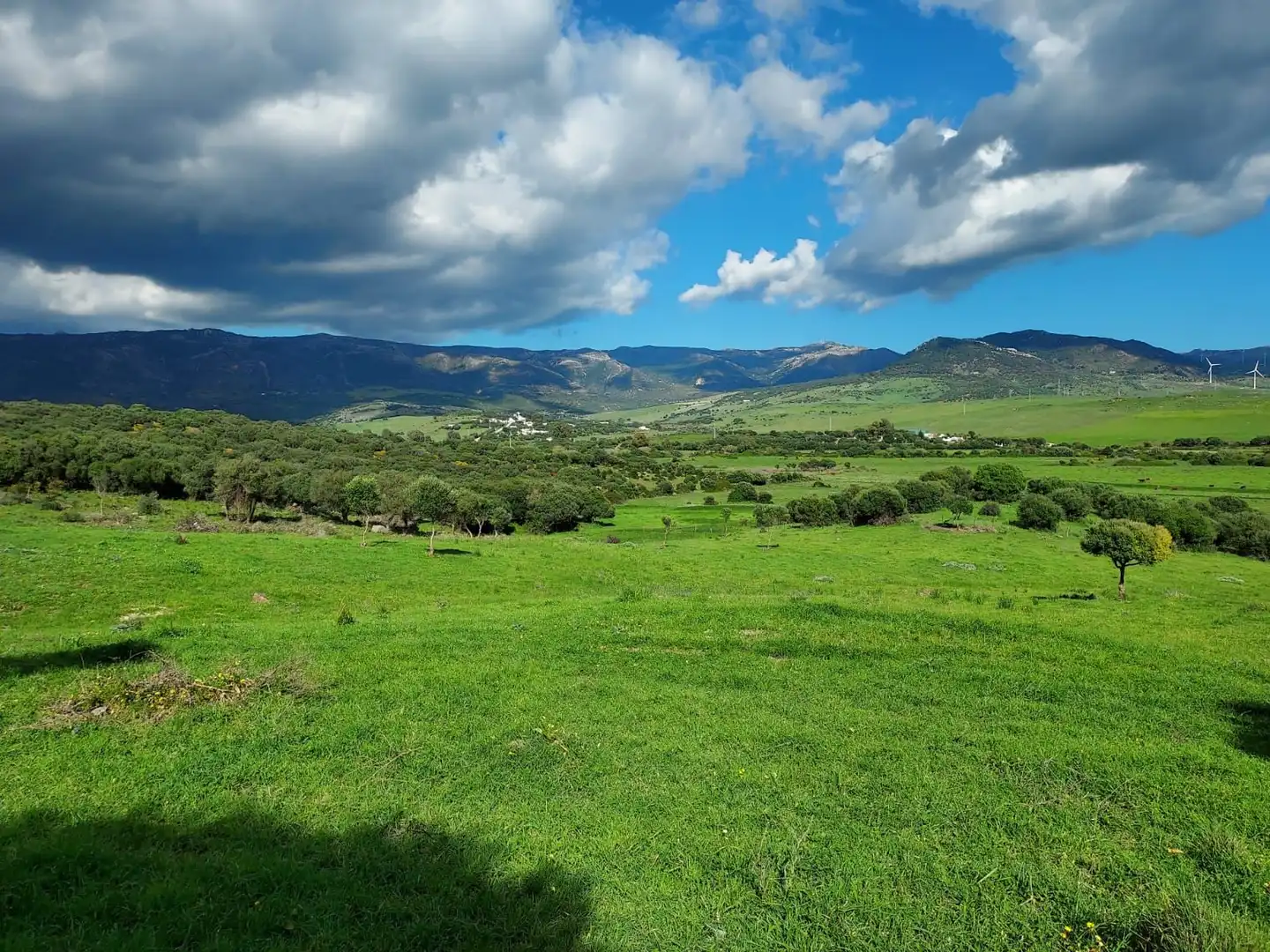 Terreni e lotti in vendita a Tarifa ciudad, imagen 23
