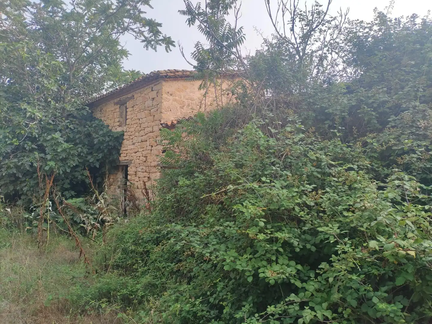 Residencial en venda en El Molar (Madrid)