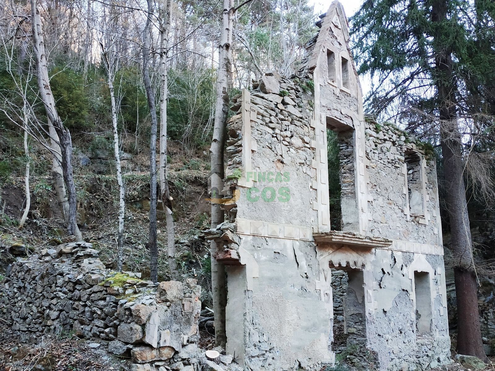 Exterior view of House or chalet for sale in Queralbs  with Private garden