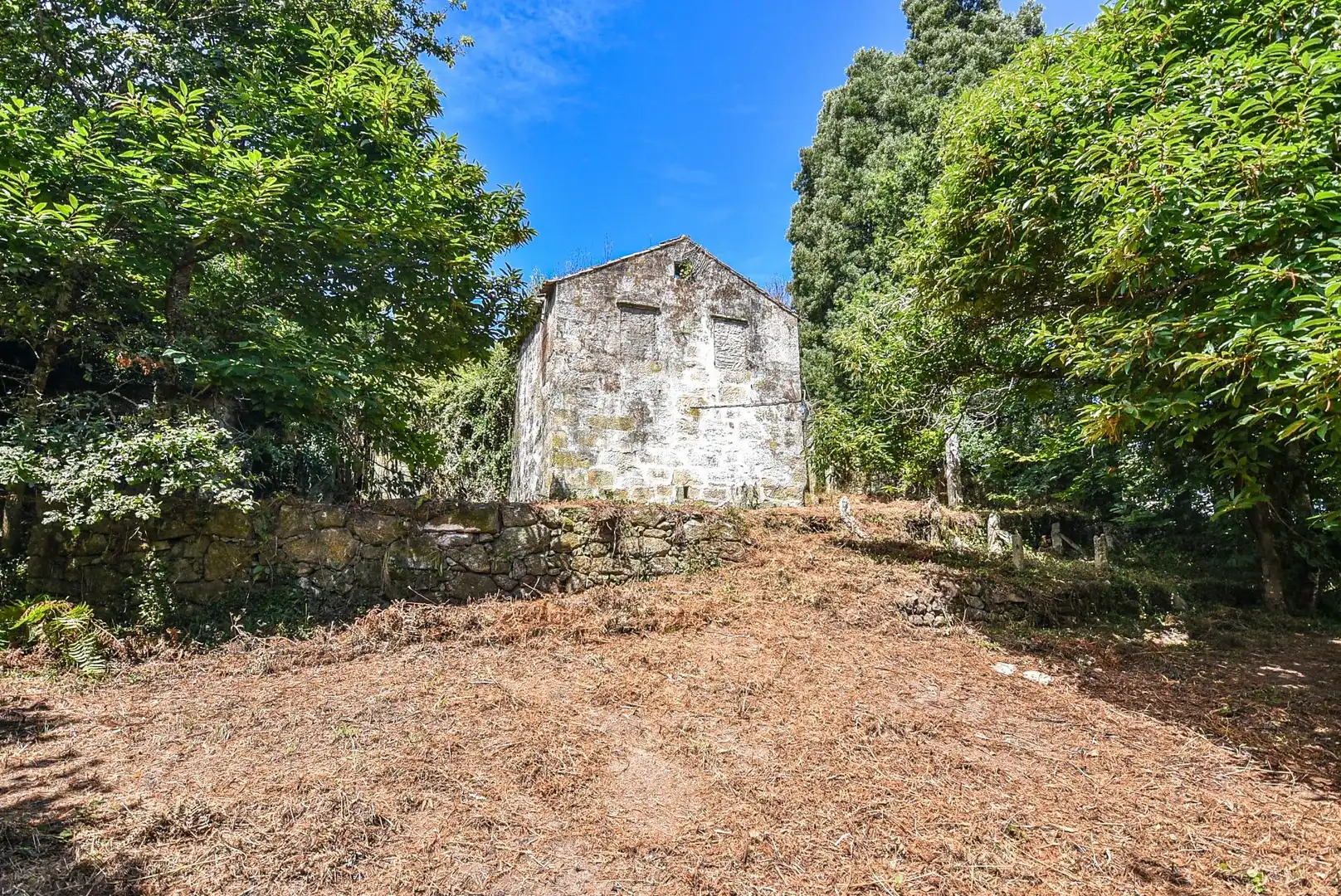 Terreni e lotti in vendita a CIDRAS-SAN XULIAN 15, imagen 6
