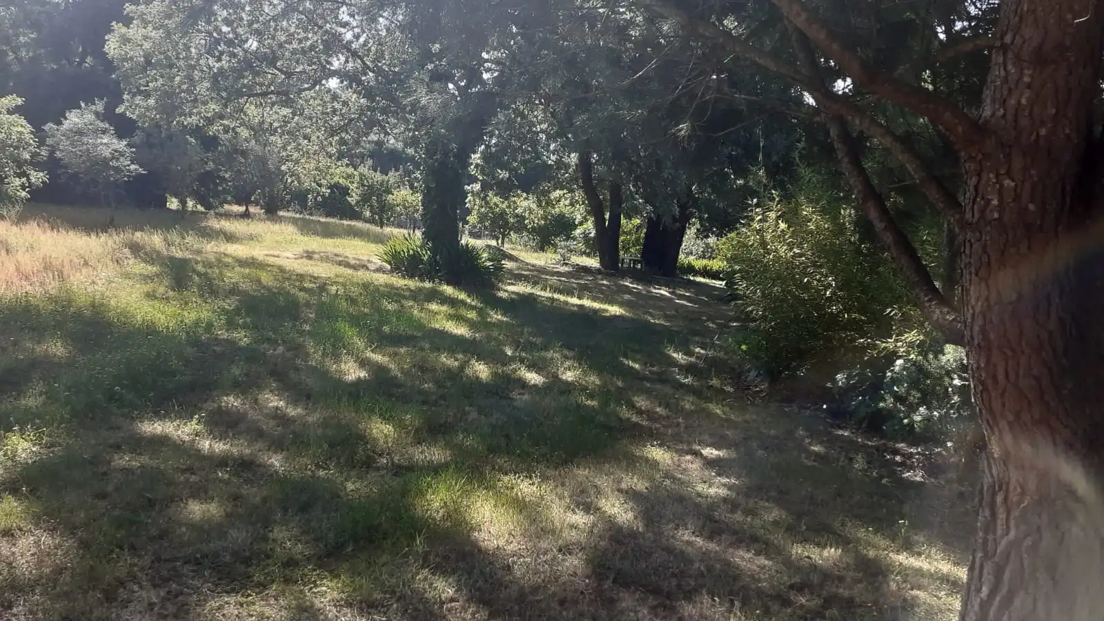 Land for sale in Jarandilla de la Vera
