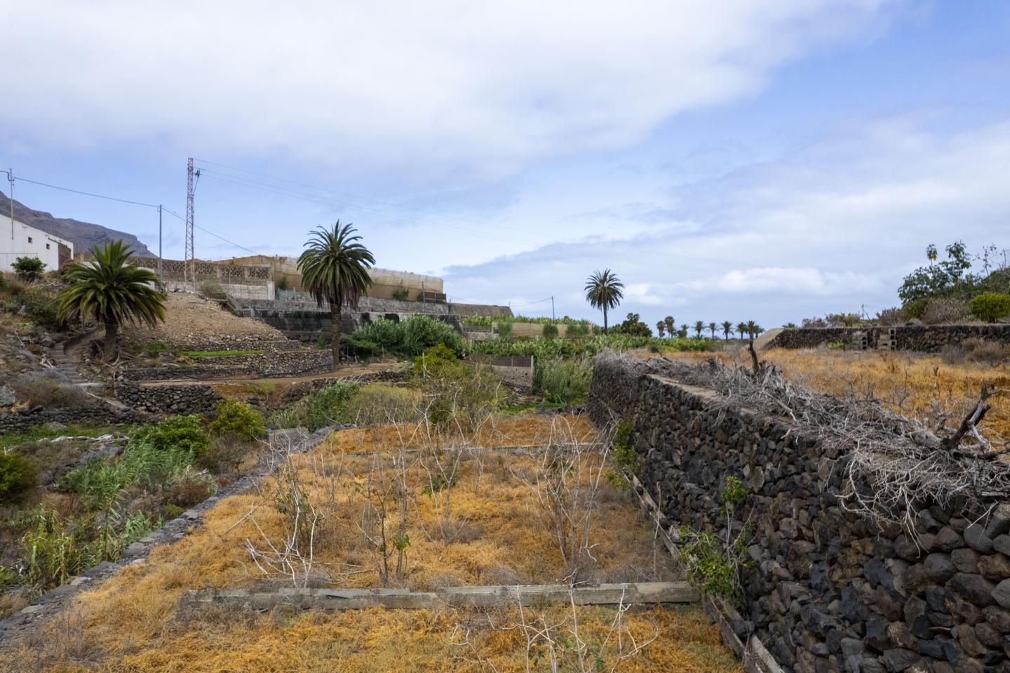 Exterior view of Residential for sale in Buenavista del Norte