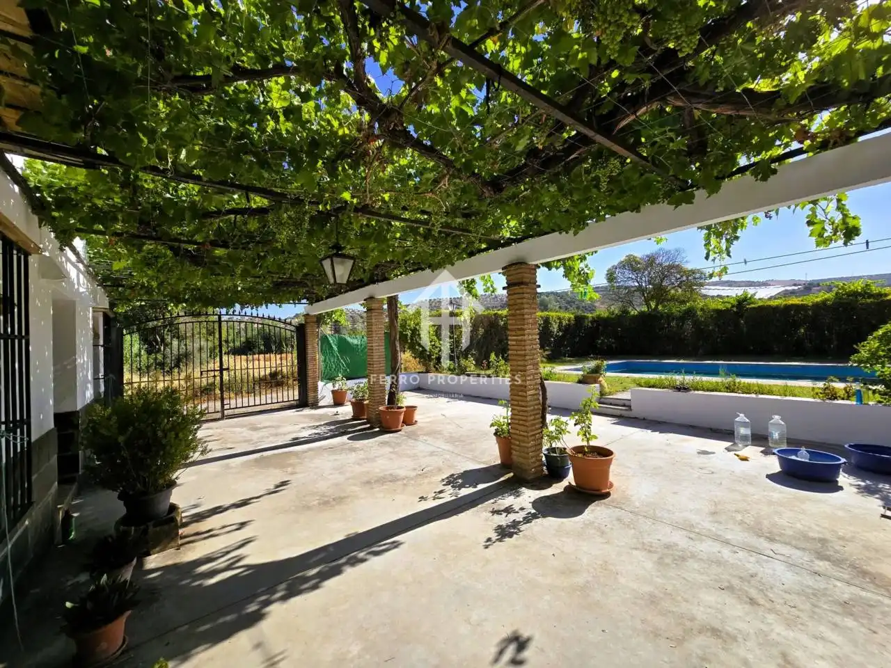 Jardín de Casa o chalet en venta en Salar con Jardín privado, Terraza y Piscina