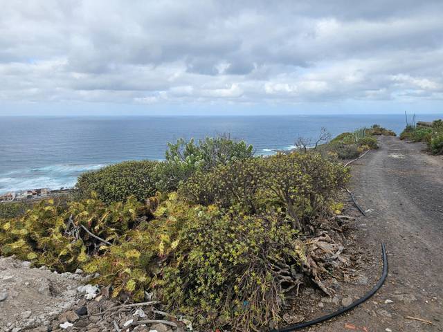 Finca rústica en Venta en  Polígono 2 Parcela 299 LOMO QUINTANILLA. ARUCAS (, 2 en Arucas Casco