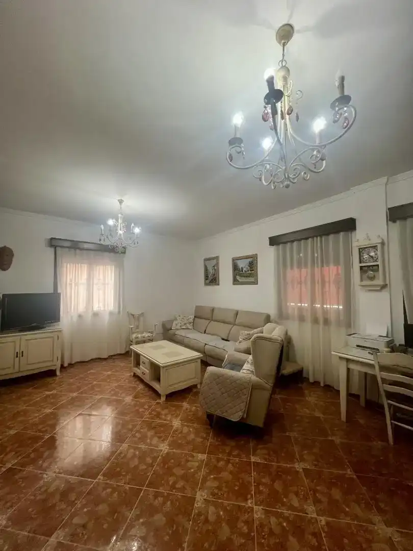 Sala de estar de Casa o chalet en venta en San José del Valle con Aire acondicionado, Jardín privado y Parquet