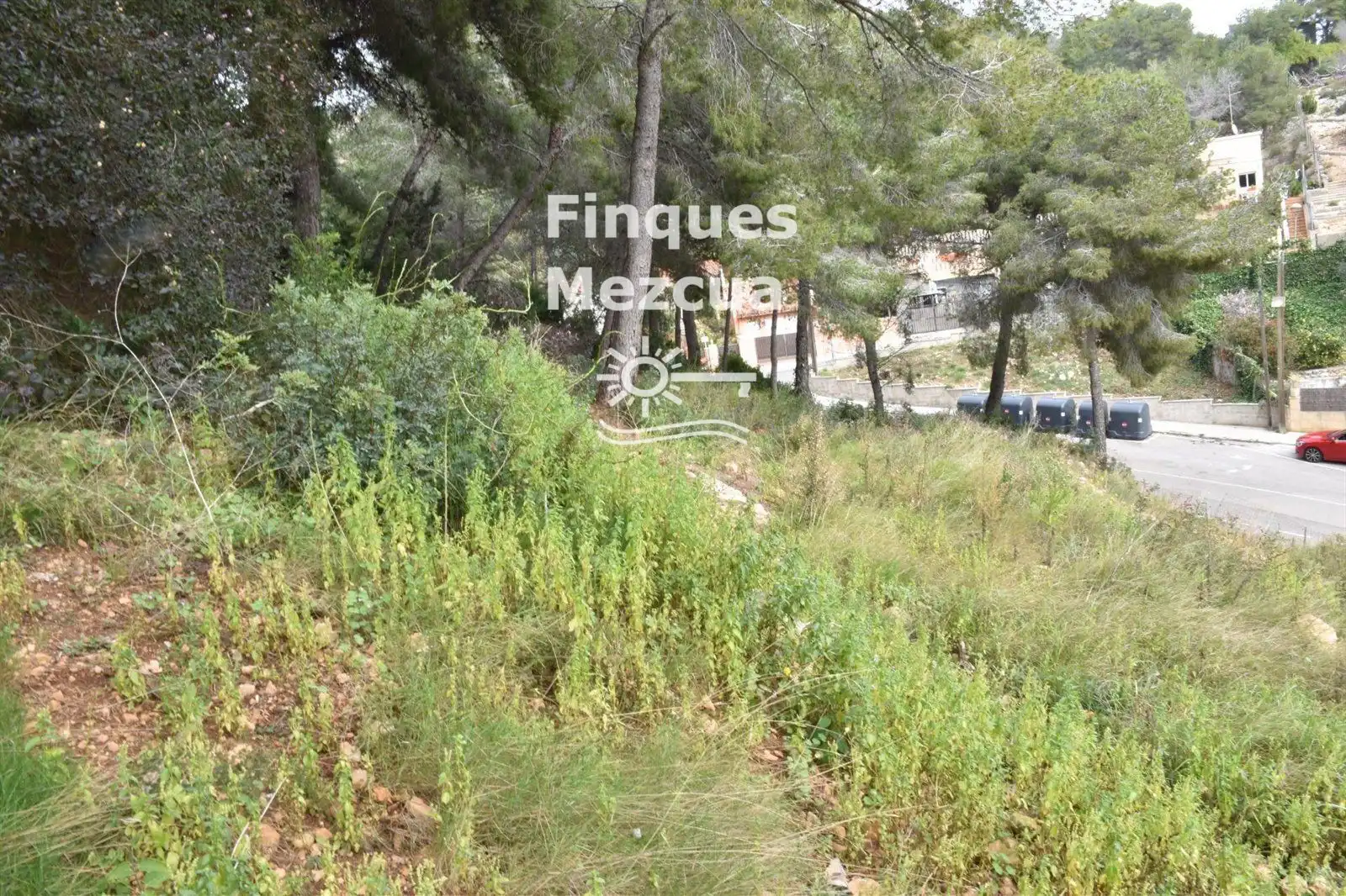Rural land for sale in GLADIOL, imagen 5