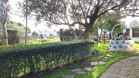 Foto 5 von Country house zum Verkauf in Coria del Río, Sevilla