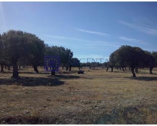 Country house for sale in Arroyomolinos (Cáceres)