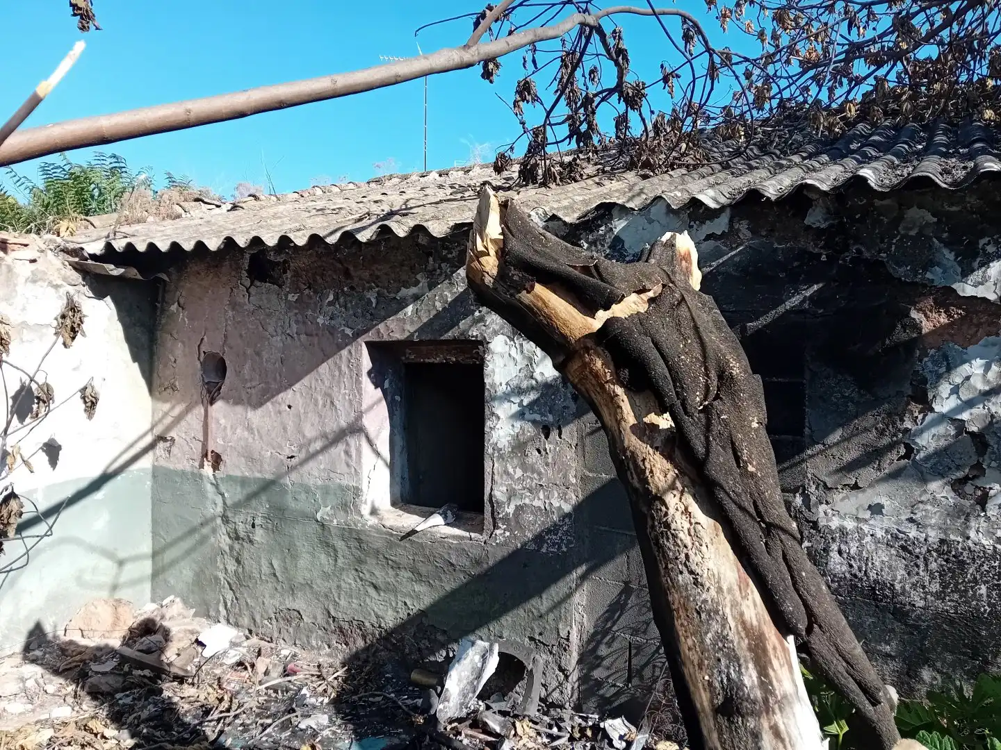Terrenos y solares en venta en Torralba de Calatrava, imagen 9