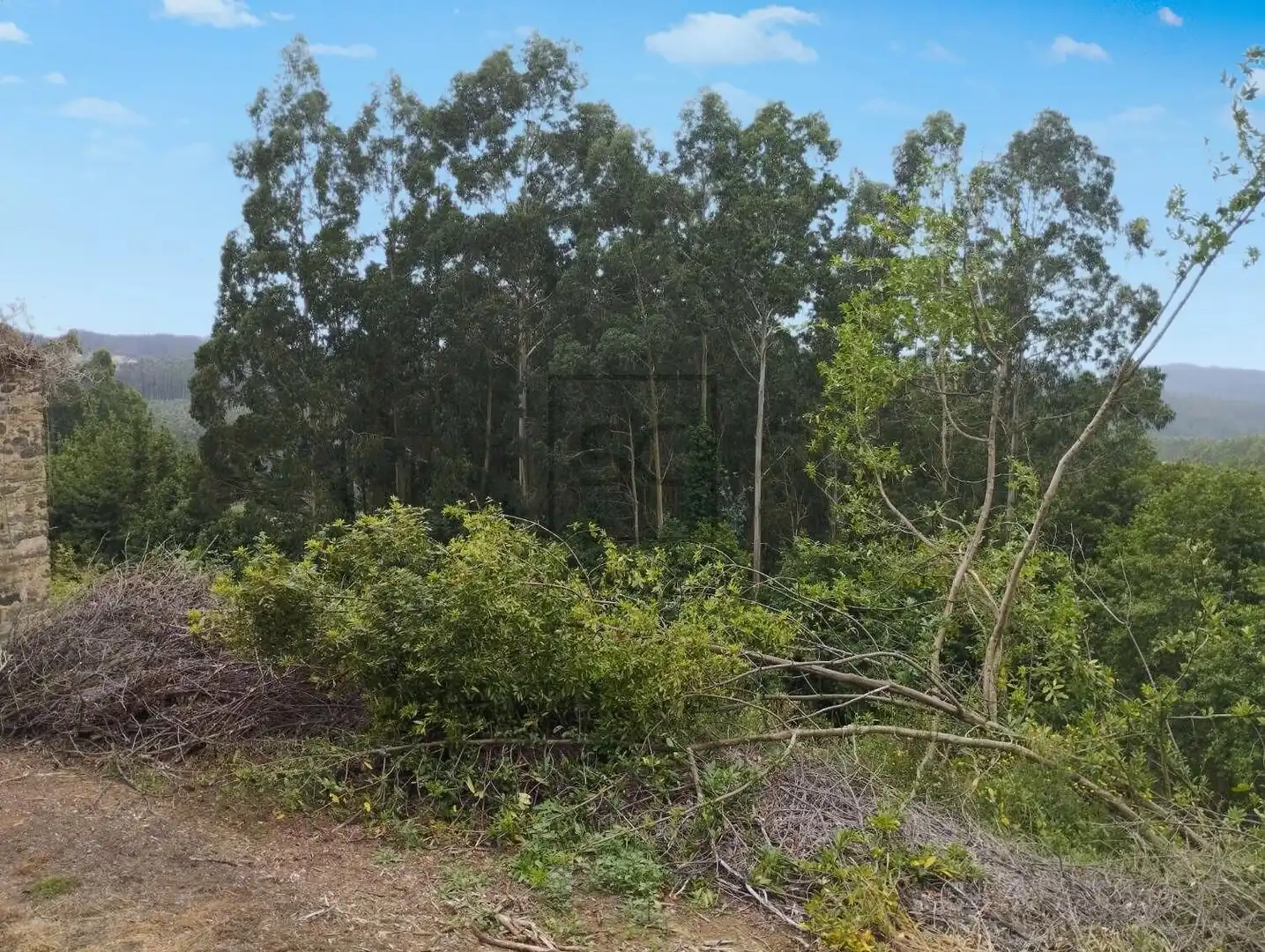 Casa o xalet en venda en Cerdido amb Jardí privat